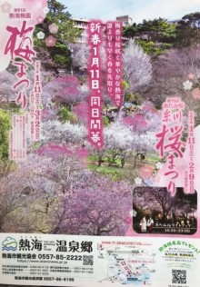 桜まつり・梅まつり開幕しました。