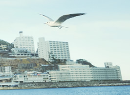 意外と熱海特集 熱海温泉お宿ナビ